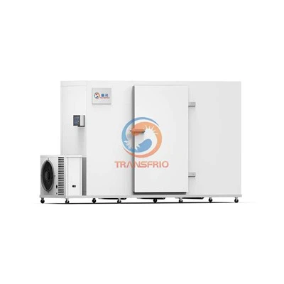 Használható-e fagyasztó helyiség fagyasztott gyümölcsök tárolására?